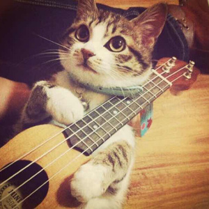 一级黄色片日本小小美女免费
